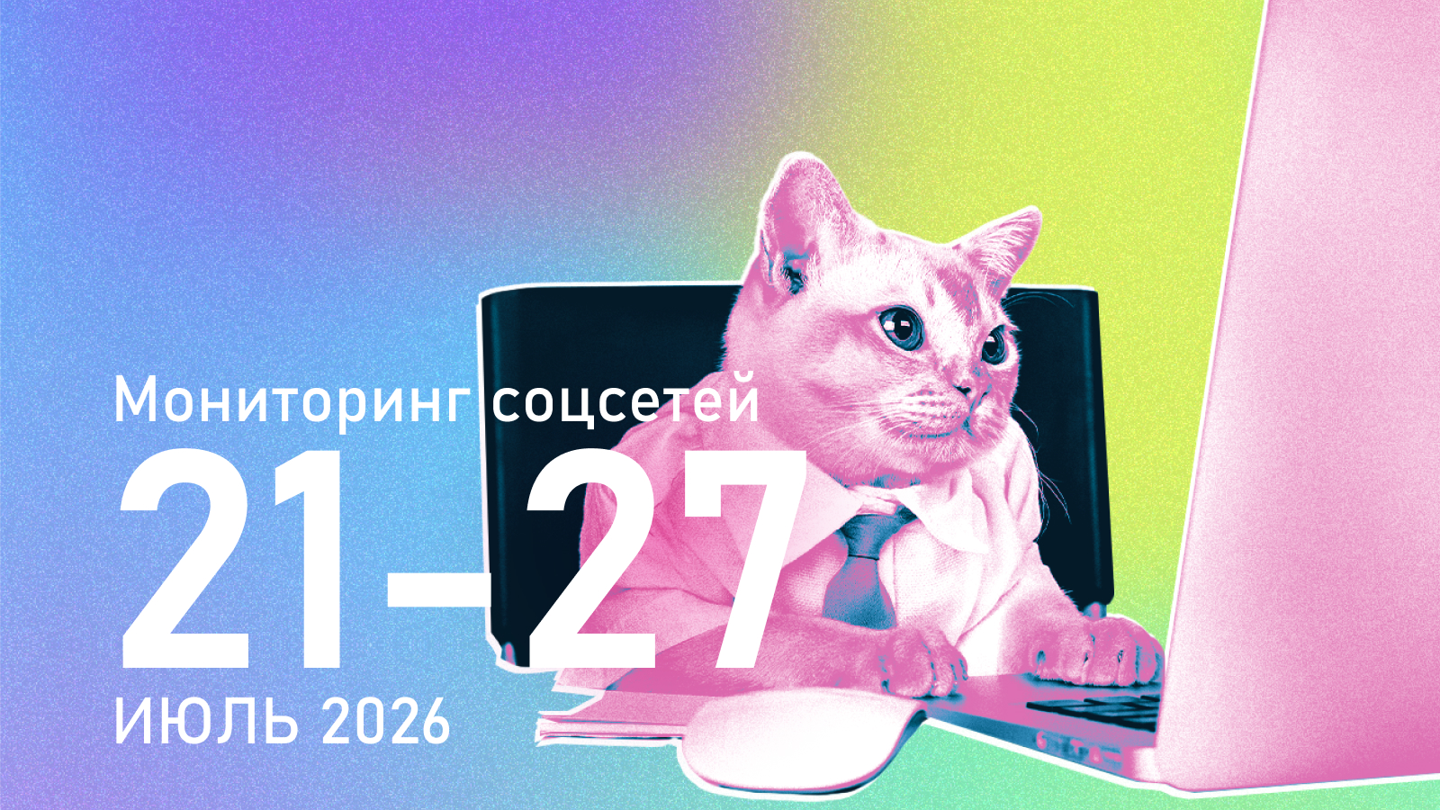 Сочувствие греет: «Яблоко» догоняет «Новых людей» в соцсетях после волны снятий с выборов и репрессий
