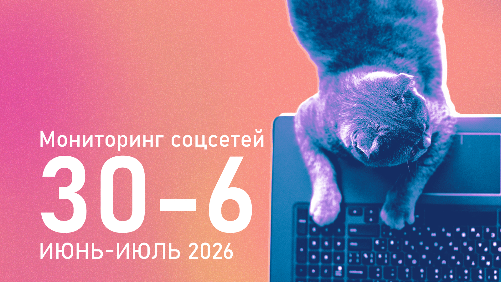 Тише воды, ниже травы: объем агитации в социальных сетях резко сократился