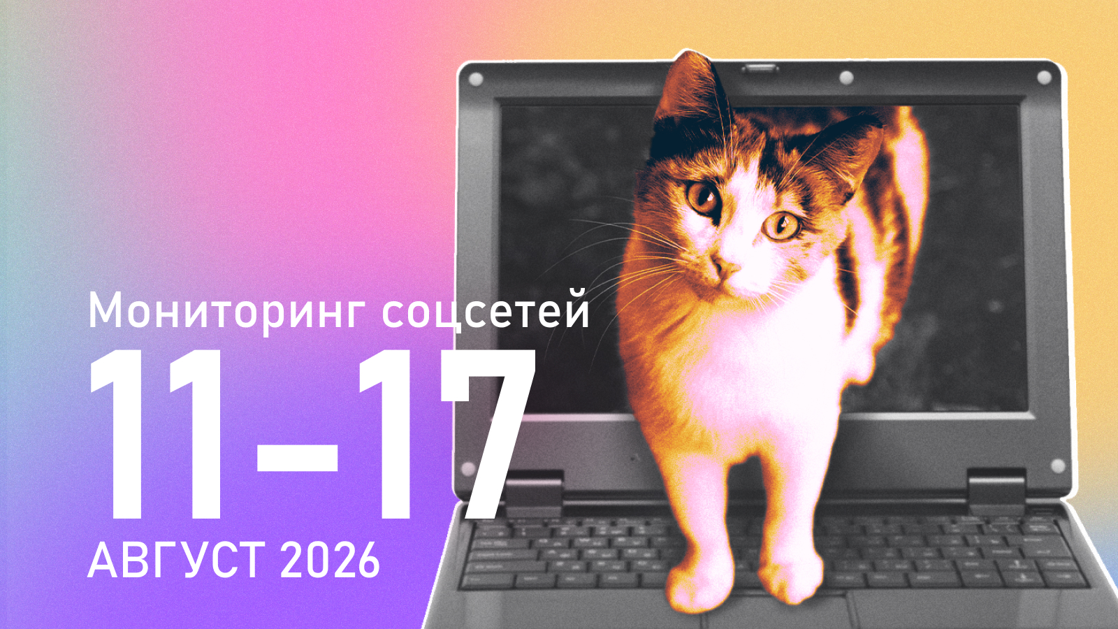 Апелляция «Яблока» отклонена, Шлосберг осуждён на 11 лет: аналоговый ГосМир давит соцсети