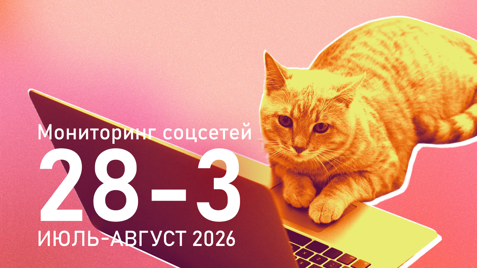 Не справились с управлением: популярность «Яблока» и «Новых людей» в соцсетях стала выходить из-под контроля кураторов внутренней политики