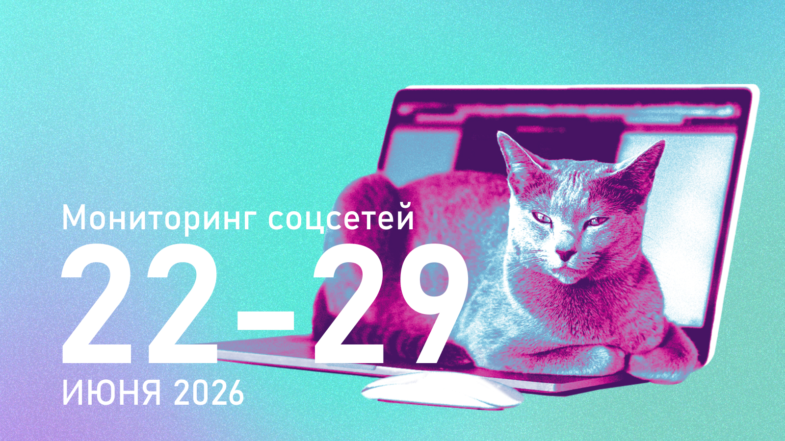 За «Единую Россию» незаконно агитируют тысячи официальных пабликов